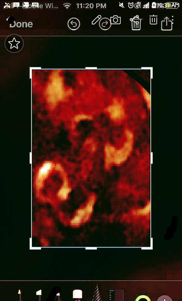 Capture+_2020-02-11-10-37-12.png