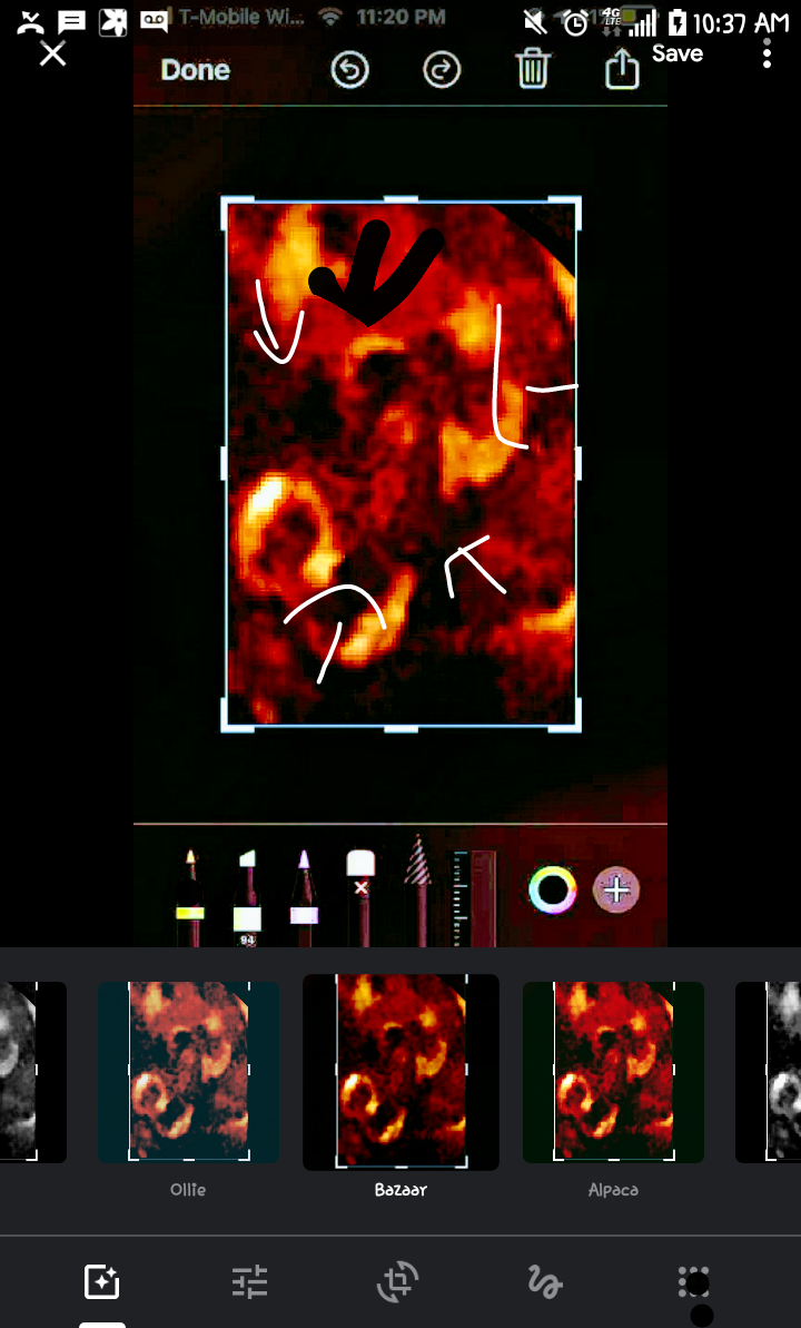 Capture+_2020-02-11-10-39-36.png