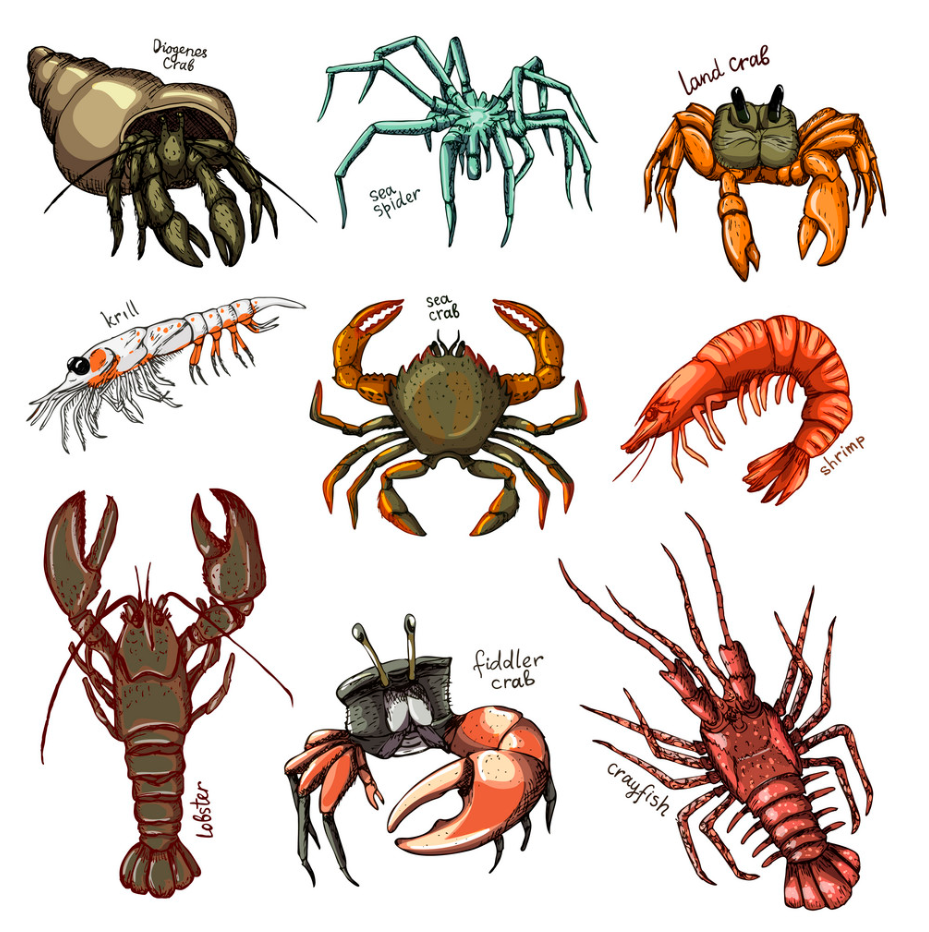 Capture+_2020-02-25-13-39-18.png