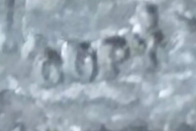 Capture+_2021-09-24-04-45-46.png