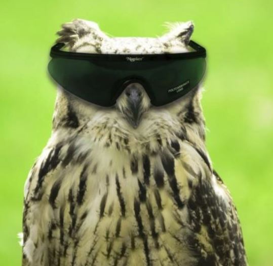 Capture.JPG