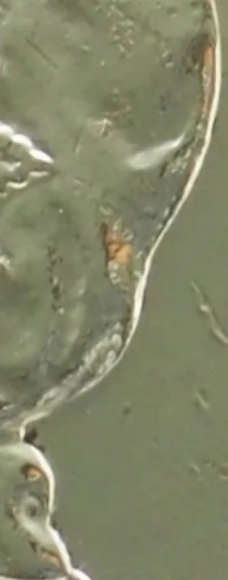 Capture.PNG