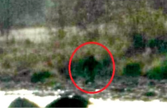Capture152485.PNG