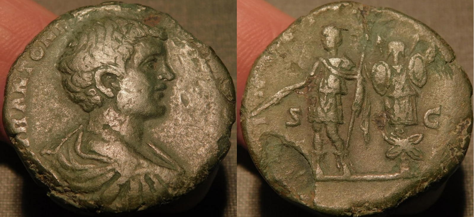 cara556.jpg
