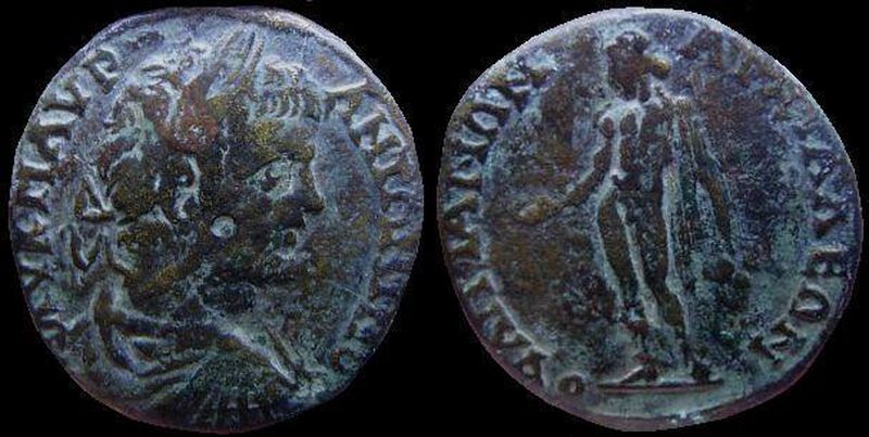 caraAnchialus.jpg