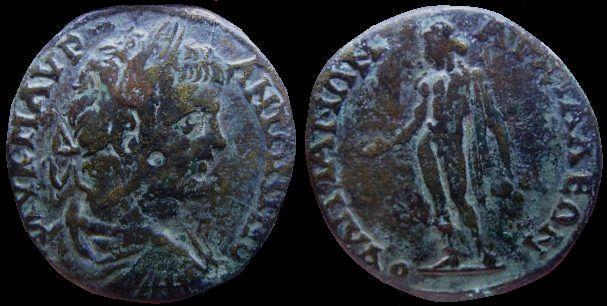 caraAnchialus.JPG