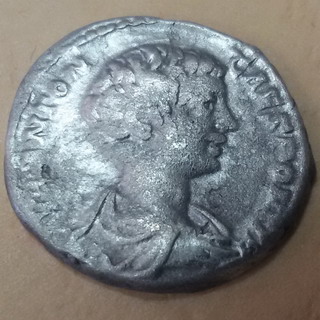 Caracala 1 A.jpg