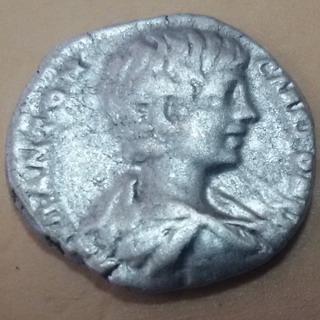 Caracala 2 A.jpg