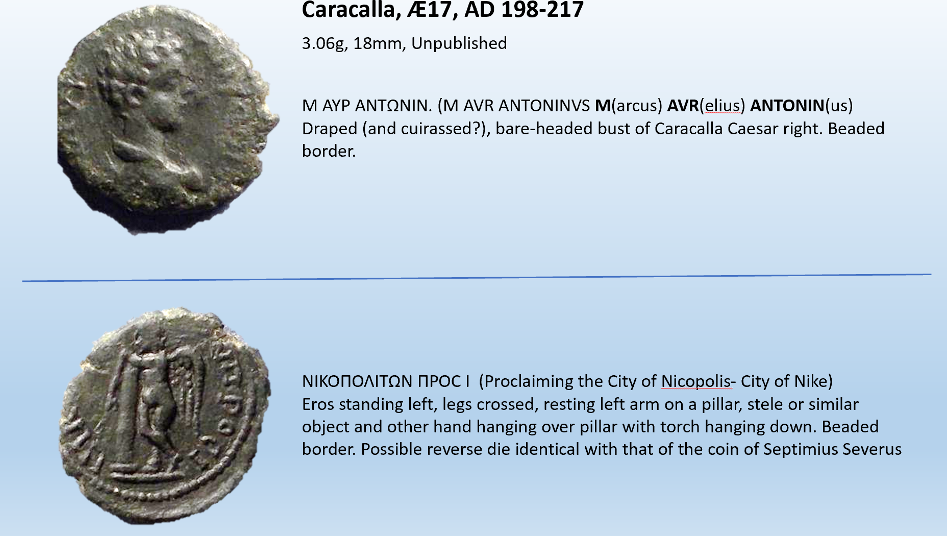 Caracala young w eros.PNG