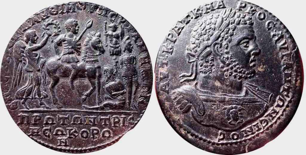 Caracall-Provincial-Lot-359-43mmCNG.jpg