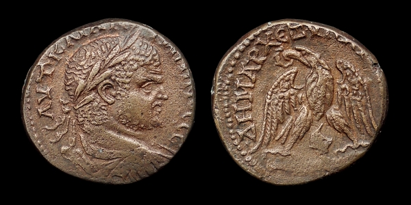 caracalla 6.jpg