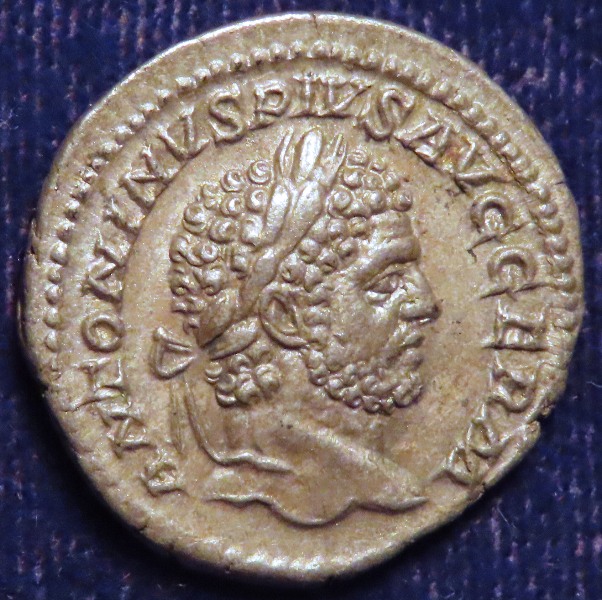 Caracalla Aescu O.jpg