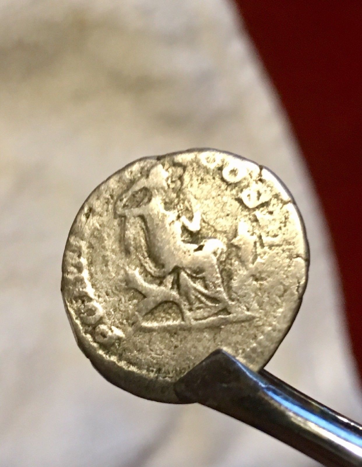 caracalla ant clearer33s-l1600.jpg