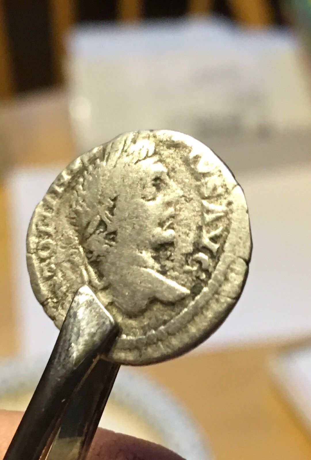 caracalla ant clearers-l1600.jpg