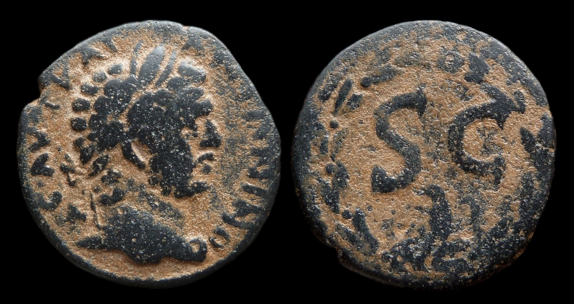 Caracalla - Antioch SC.jpg