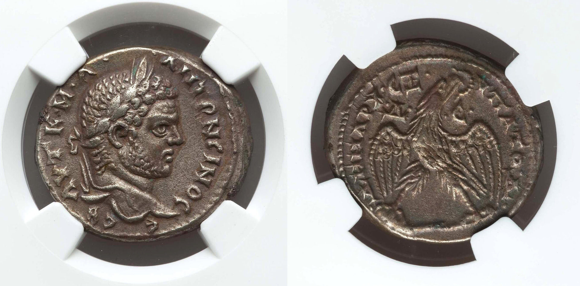 Caracalla, Antioch-Syria.jpg