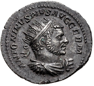 Caracalla bulls a.jpg