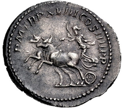 Caracalla bulls b.jpg
