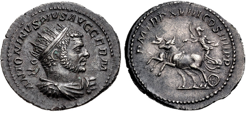 Caracalla bulls.jpg