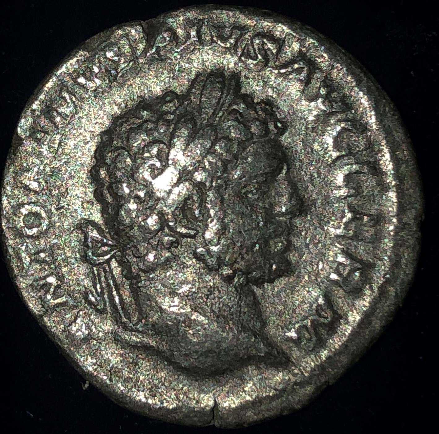 Caracalla, Denarius Obverse.jpg
