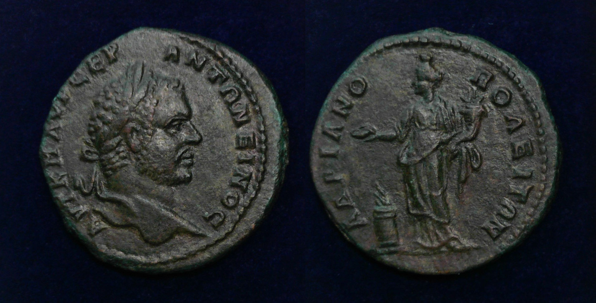 Caracalla Homonoia Blu.jpg