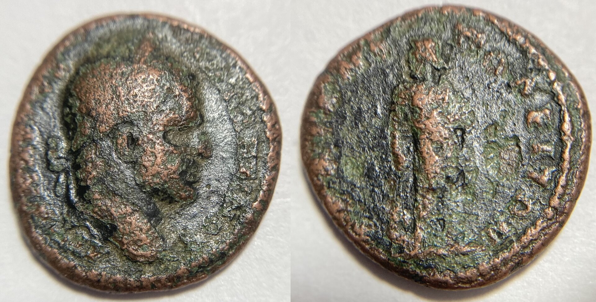 Caracalla Moushom 3461.JPG