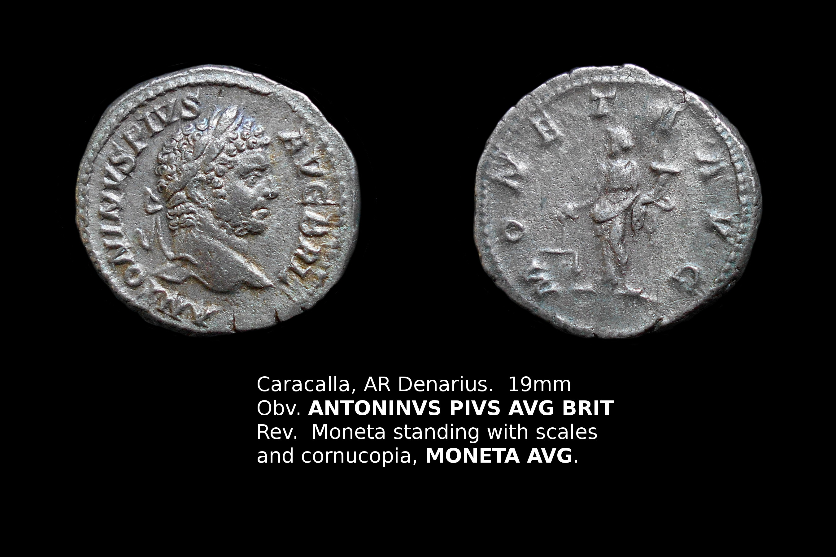 Caracalla no text.jpg