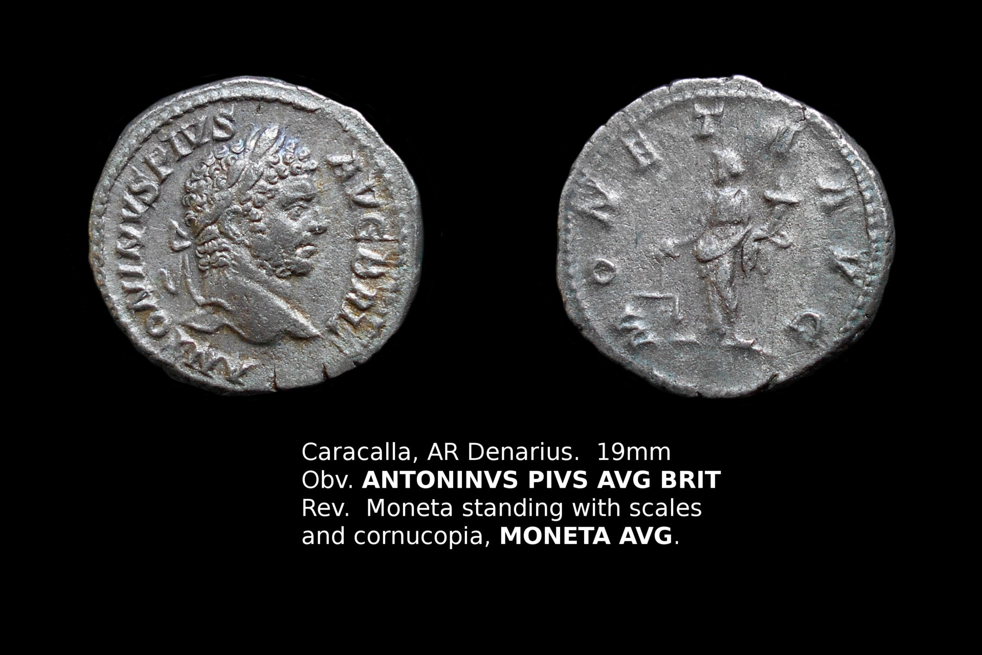 Caracalla no text.jpg