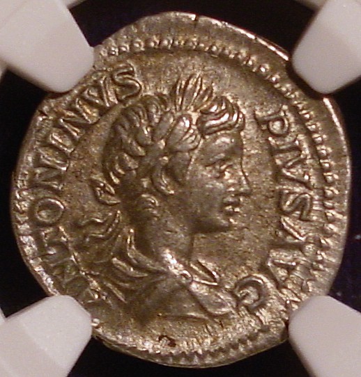Caracalla O.jpg