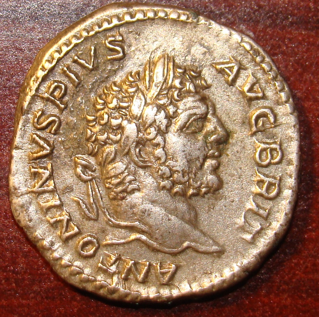 Caracalla Obv2.JPG