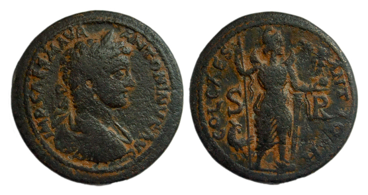 caracalla pisidia400.jpg