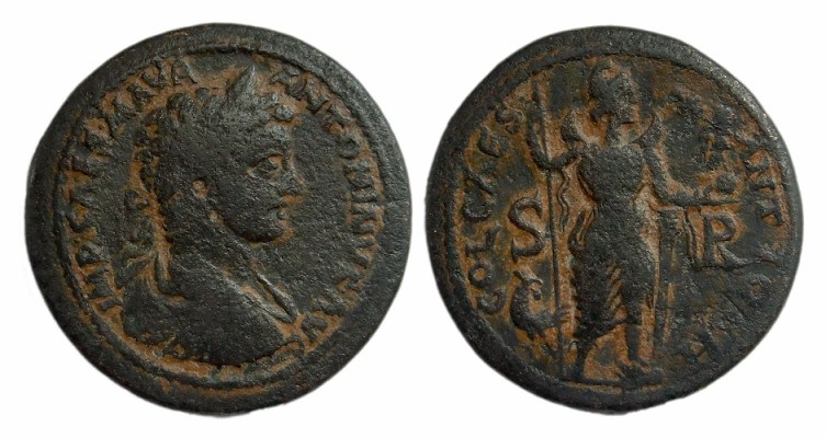 caracalla pisidia400.jpg