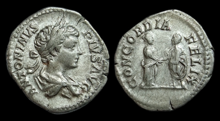 caracalla plautilla400b-black.jpg