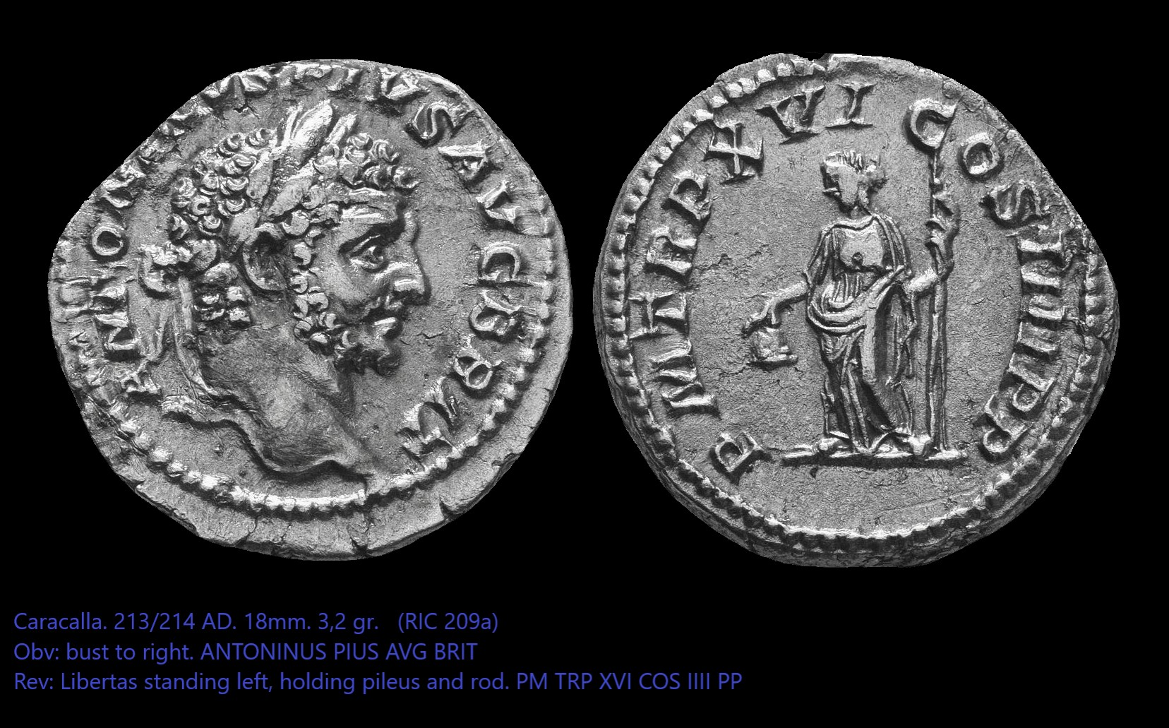caracalla.png