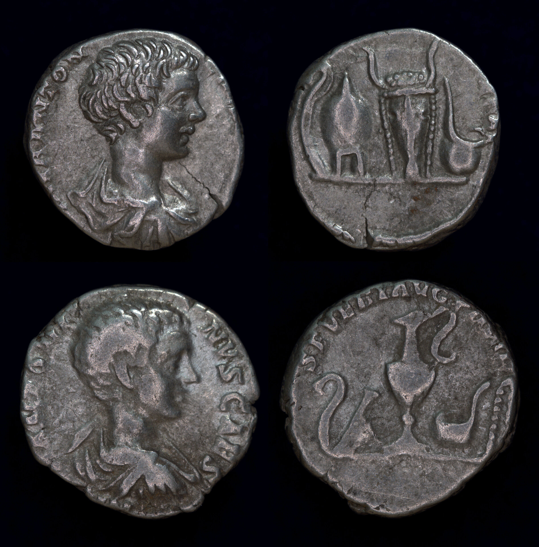 Caracalla Priestly Implements.jpg