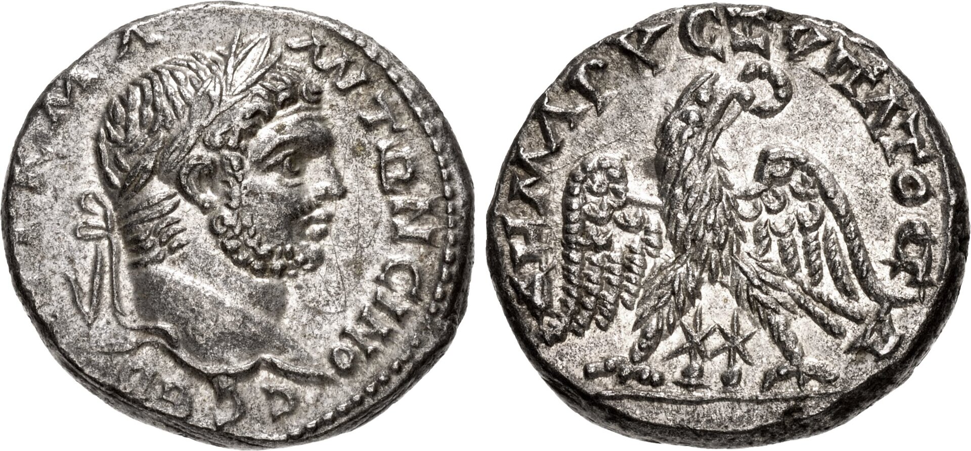 Caracalla, Prieur 1225, Al Kowsky Collection.jpg