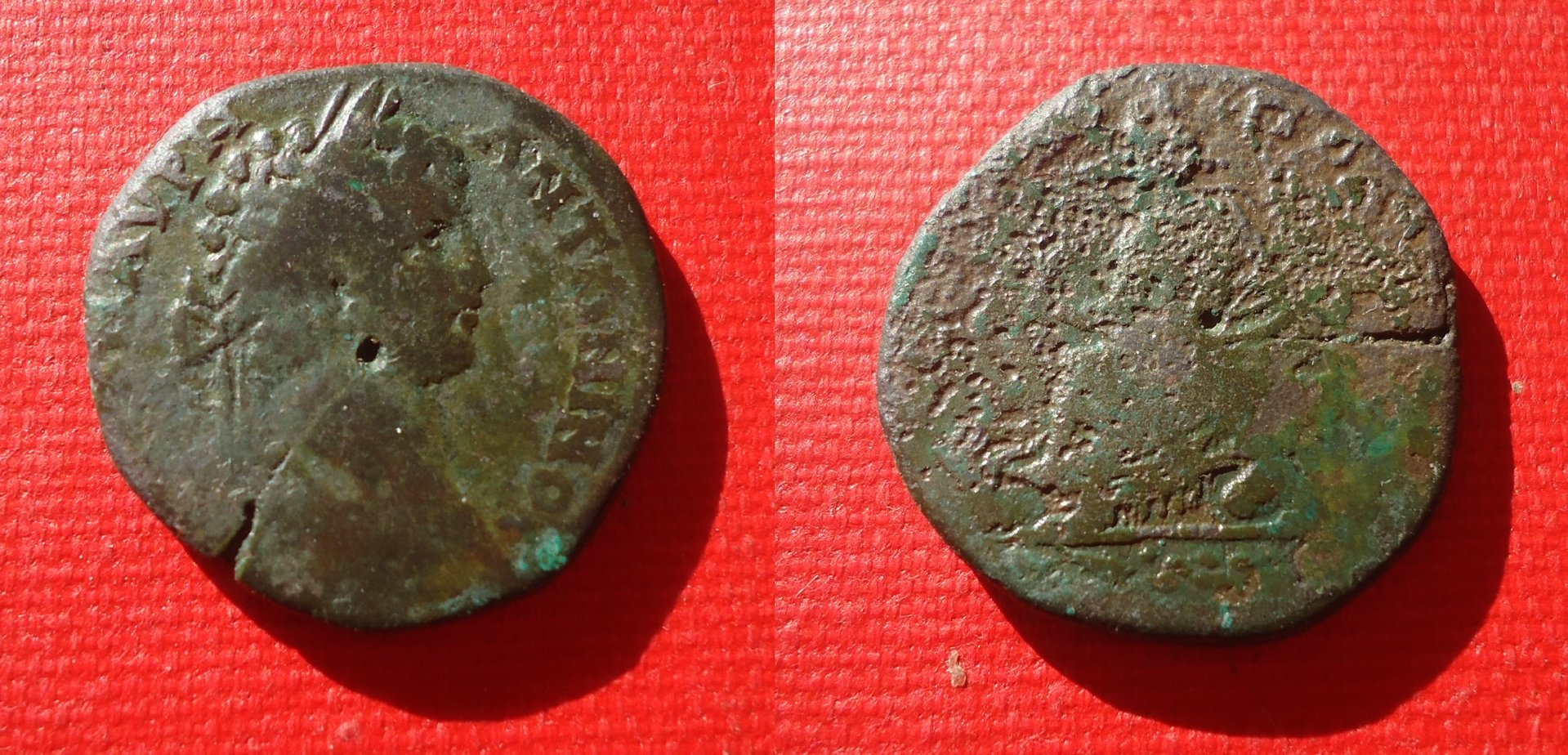 Caracalla Prov w Tyche Oct 2018 (2).JPG