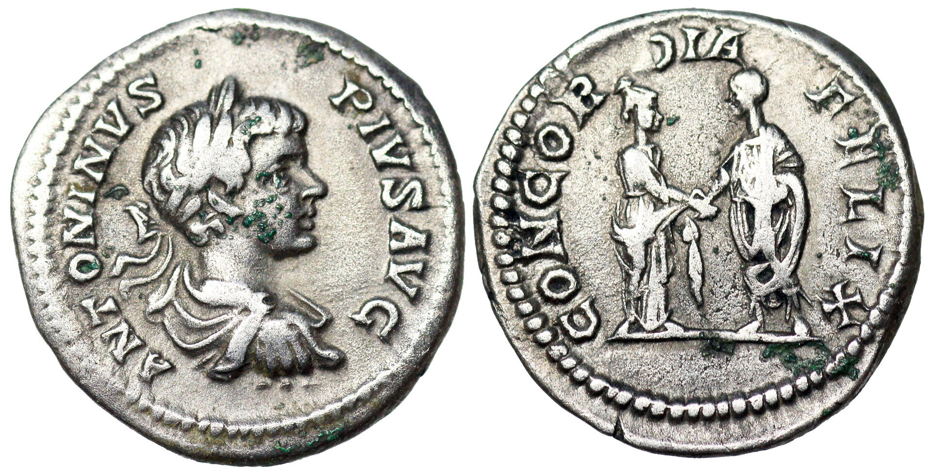 Caracalla Rome 124b.JPG