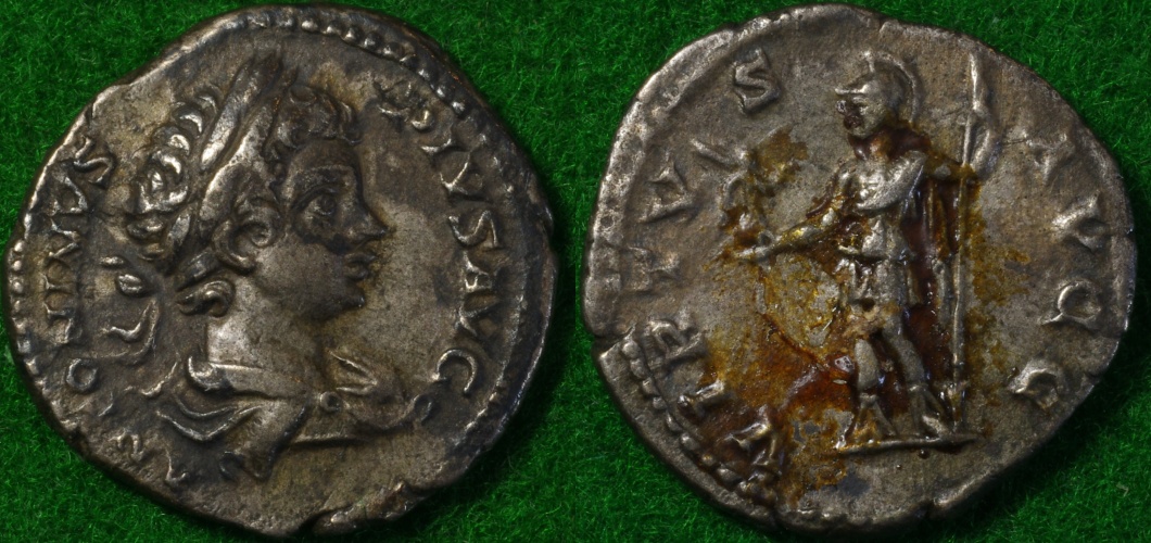 Caracalla S6903 1-side.JPG