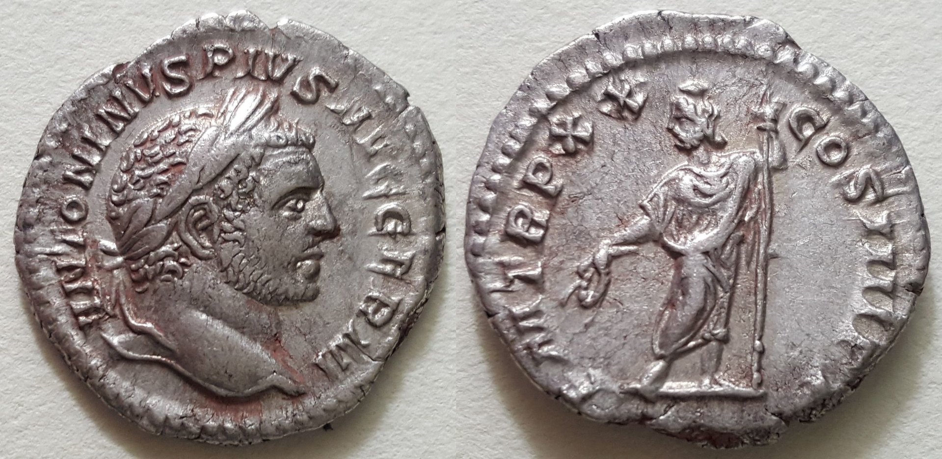 Caracalla Serapis.jpg