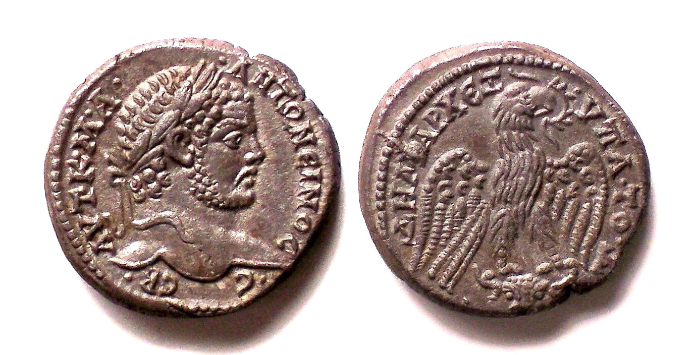 Caracalla Tet (2).jpg