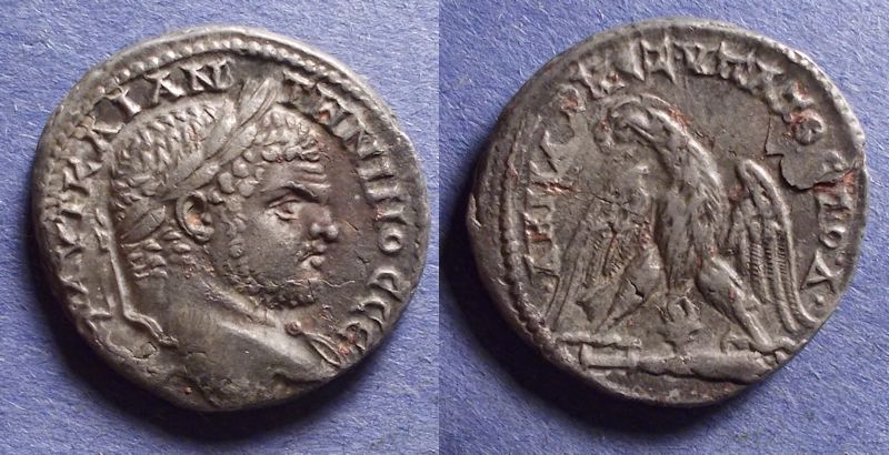 Caracalla0516126.jpg