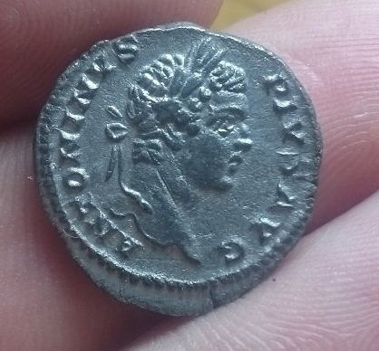 Caracalla1.png