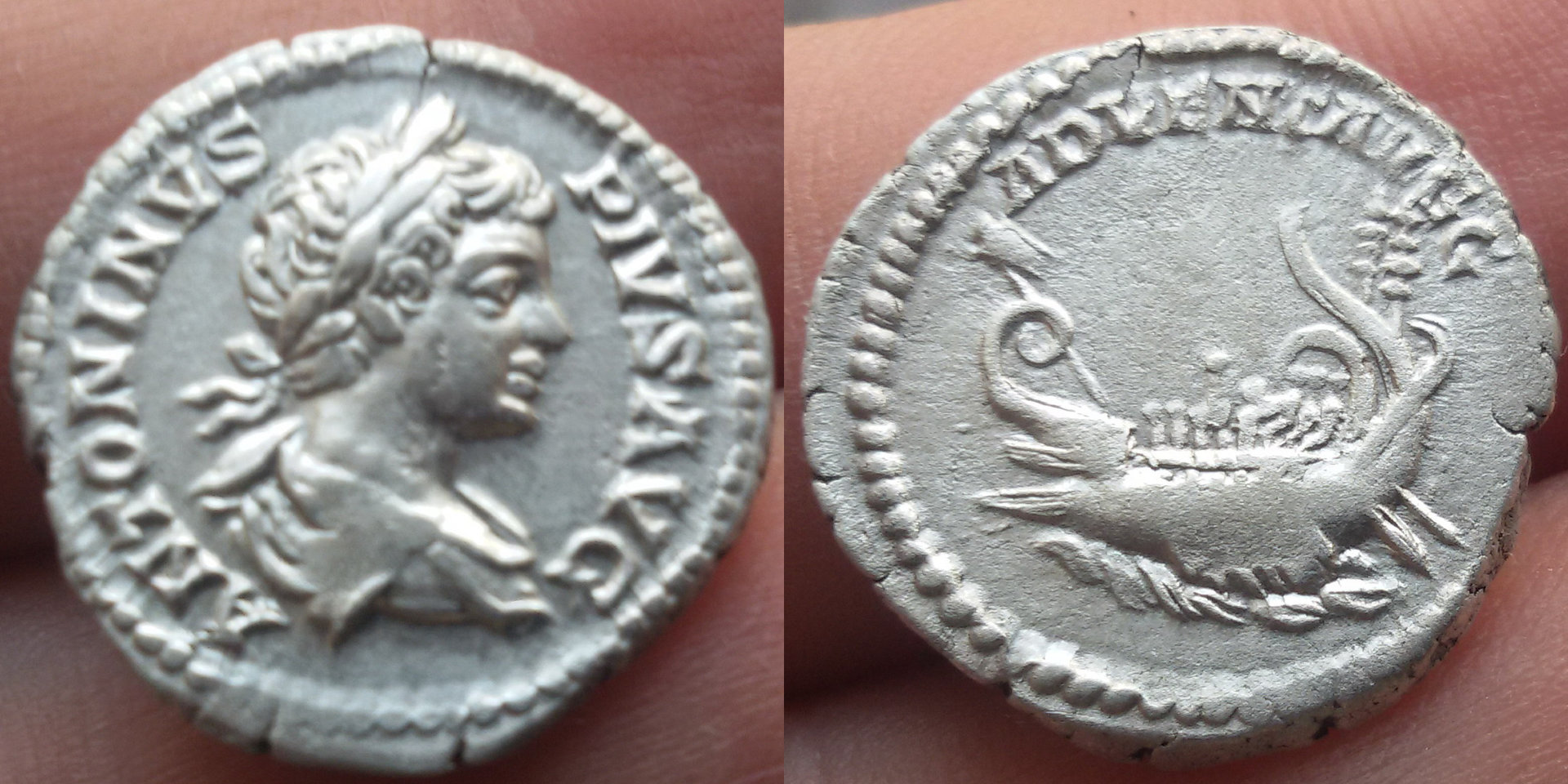 Caracalla5.jpg