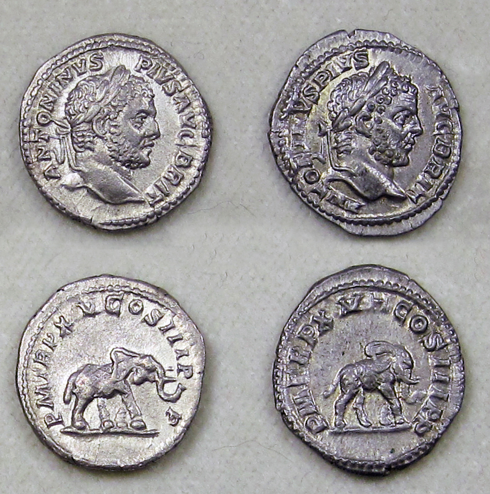Caracalla_ElephantCoins.jpg