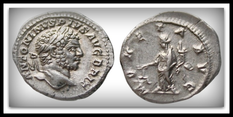 caracalla_white.jpg