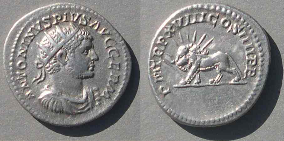 CaracallaAntPMTRPXVIIILionSR6774n9489.jpg
