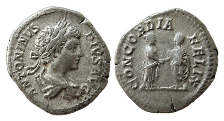 caracallaplautilla400.jpg