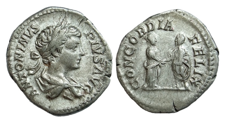 caracallaplautilla400b.jpg