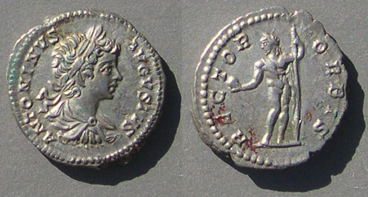 CaracallaRECTORORBISSR6880n96281.jpg